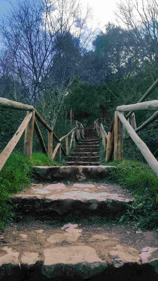 Casa Rural La Ossa Ossa de Montiel Buitenkant foto